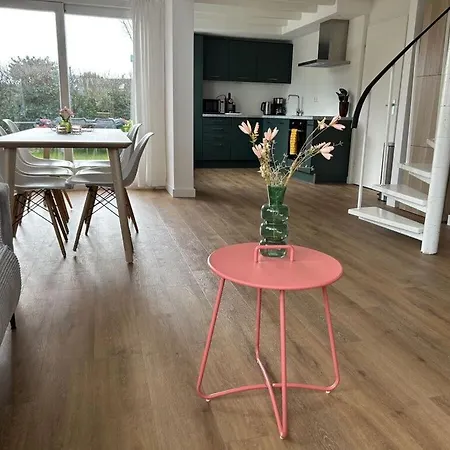 Huijsmansverhuur Type C Comfort Vlier 1 Holiday home *