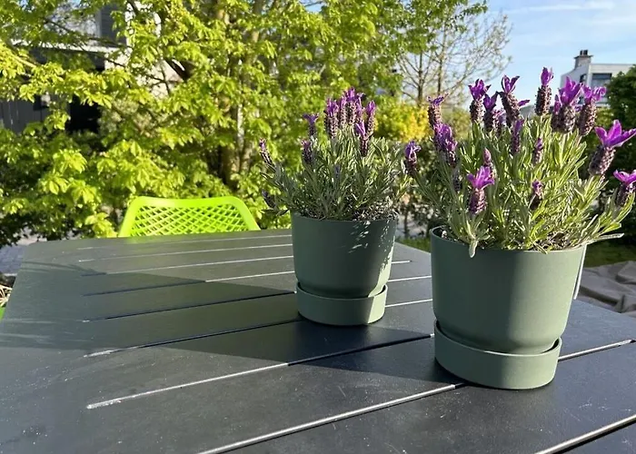 Huijsmansverhuur Type C Comfort Vlier 1 Σπίτι διακοπών Ouddorp